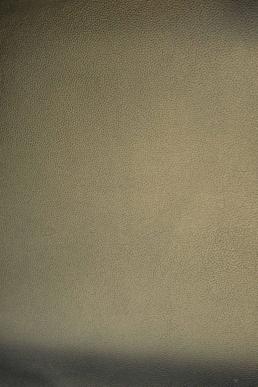 Leather for sneakers / shoes / footwear